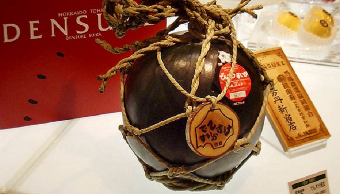 A black jumbo watermelon produced in Japan's northern island of Hokkaido is on sale for 630,000 yen (US$ 5,945)  at Tokyo's Isetan department store Friday, June 6, 2008 shortly after being flown into Tokyo, some 500 miles south of Hokkaido, following its bidding earlier in the day. The 24-pounder (11 kilograms) premium Densuke is the biggest among the first of 65 sold as part of the season's initial harvest and another Densuke that weighs 17-pound (8-kilogram) has fetched a record 650,000 yen ($6,100), making it the most expensive watermelon ever sold in the country _ and possibly the world. (AP Photo/Tomoko A. Hosaka)