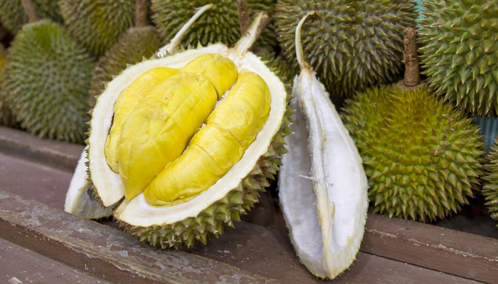 meyvesi-durian