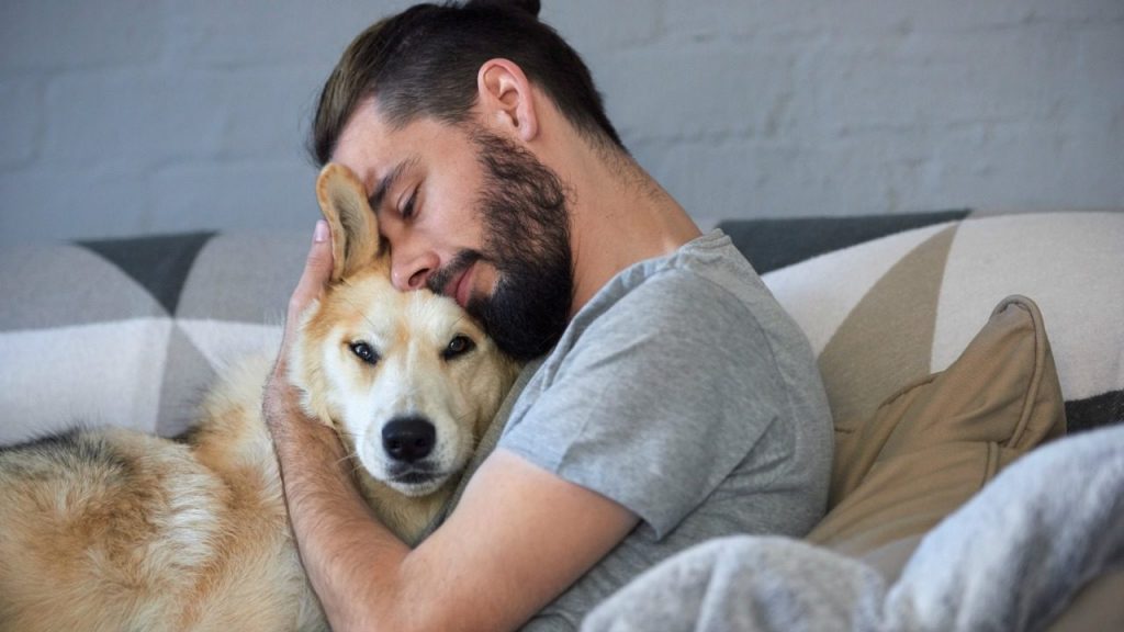 Köpekler hem sadık bir dostturlar, hem de anksiyeteyi azaltma konusunda size yardımcı olurlar. 